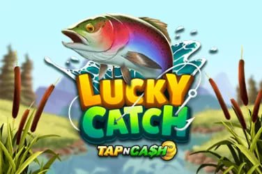 8666bdt